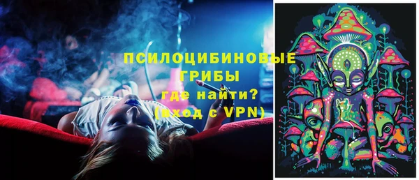 ГАЛЛЮЦИНОГЕННЫЕ ГРИБЫ Киреевск