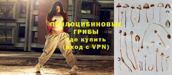 ГАЛЛЮЦИНОГЕННЫЕ ГРИБЫ Киреевск